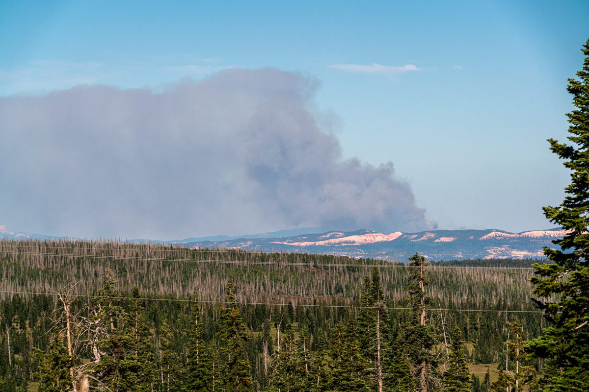 2019 August Little Bear Fire