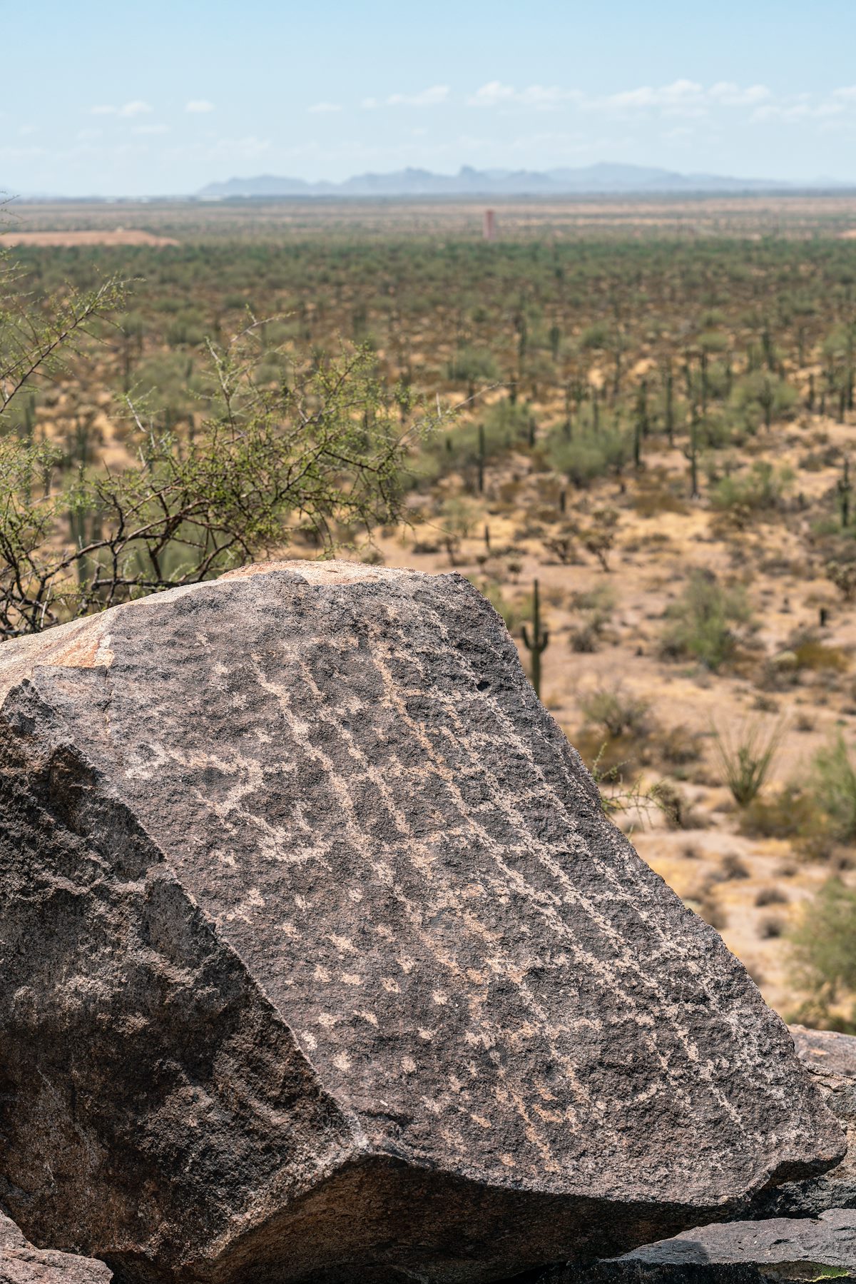 2019 August Picacho Mountain Petroglyphs 04