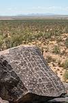 2019 August Picacho Mountain Petroglyphs 04