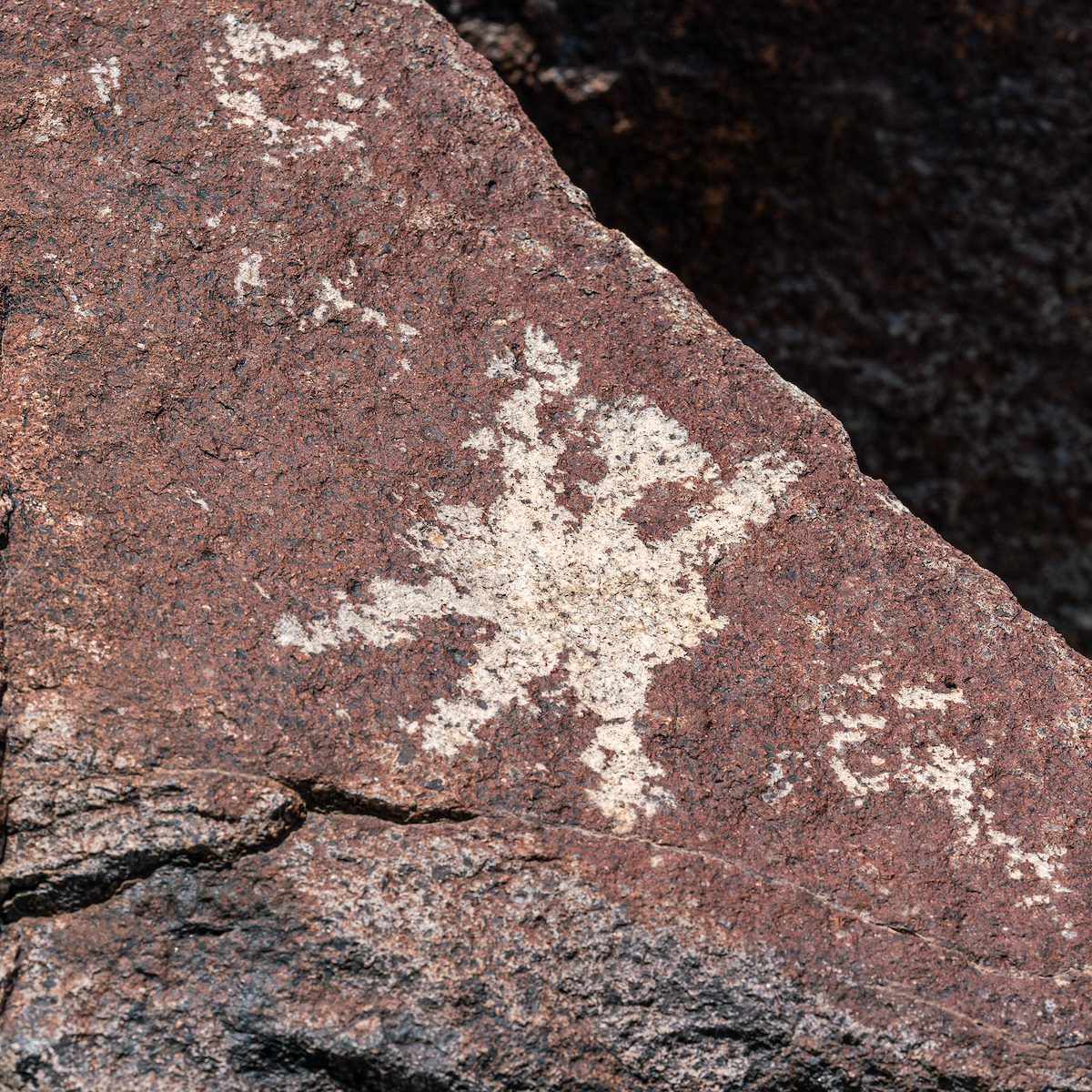 2019 August Picacho Mountain Petroglyphs 10