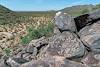 2019 August Picacho Mountain Petroglyphs 13