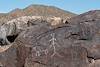 2019 August Picacho Mountain Petroglyphs 14