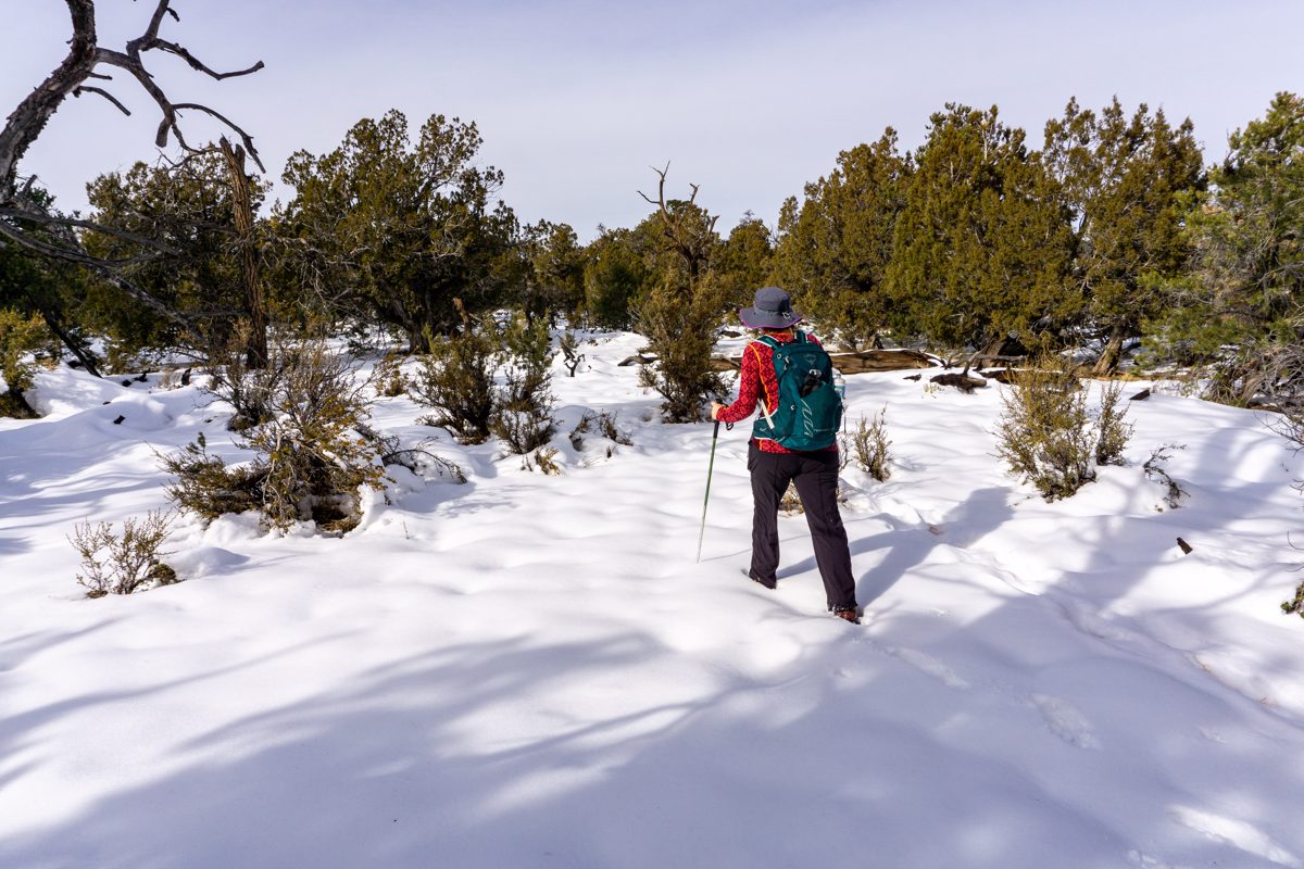 2019 December Hiking to Pinal Point