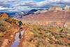 2019 December Kaibab Trail Reflection