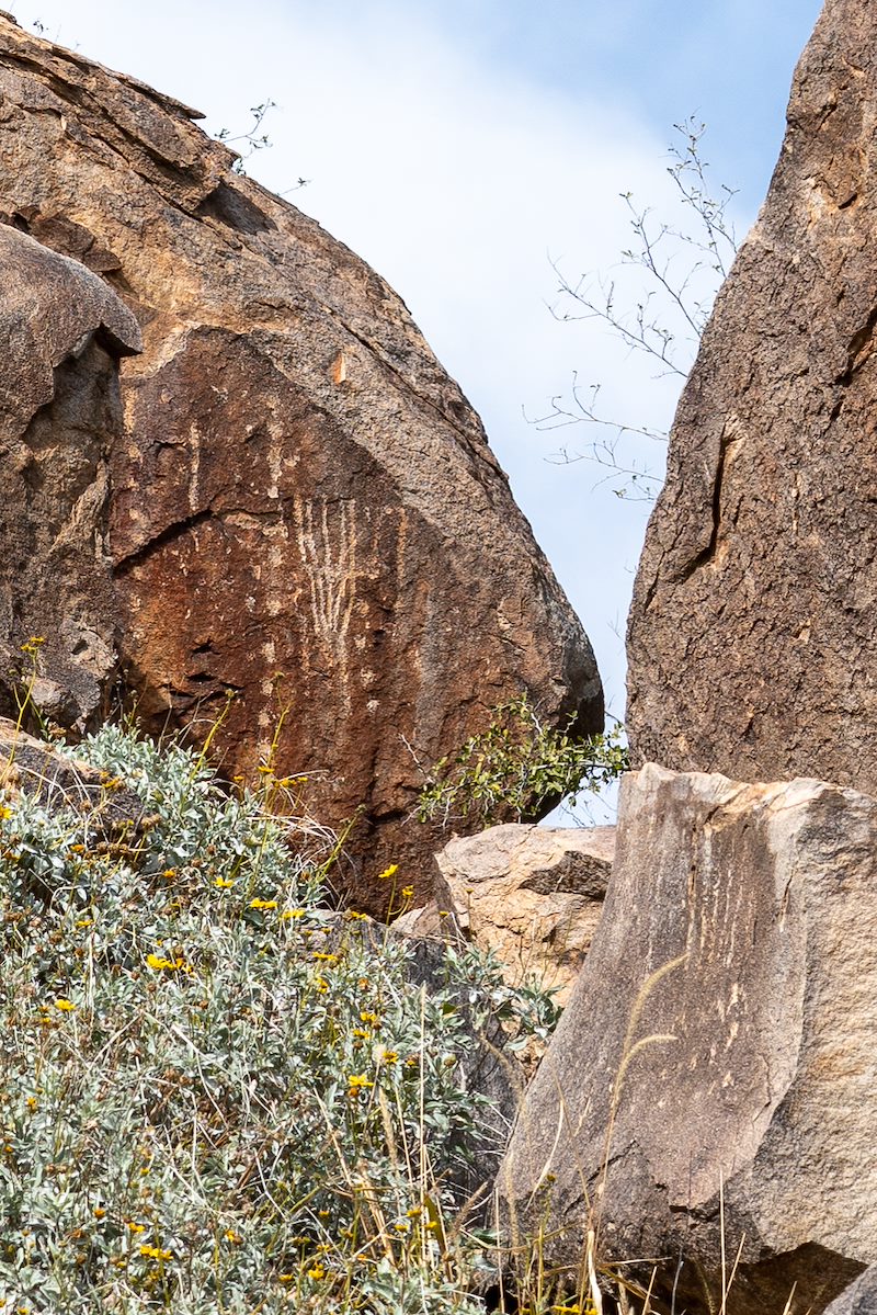 2019 February Tortolita Atlatl Ridge Petroglyphs 01