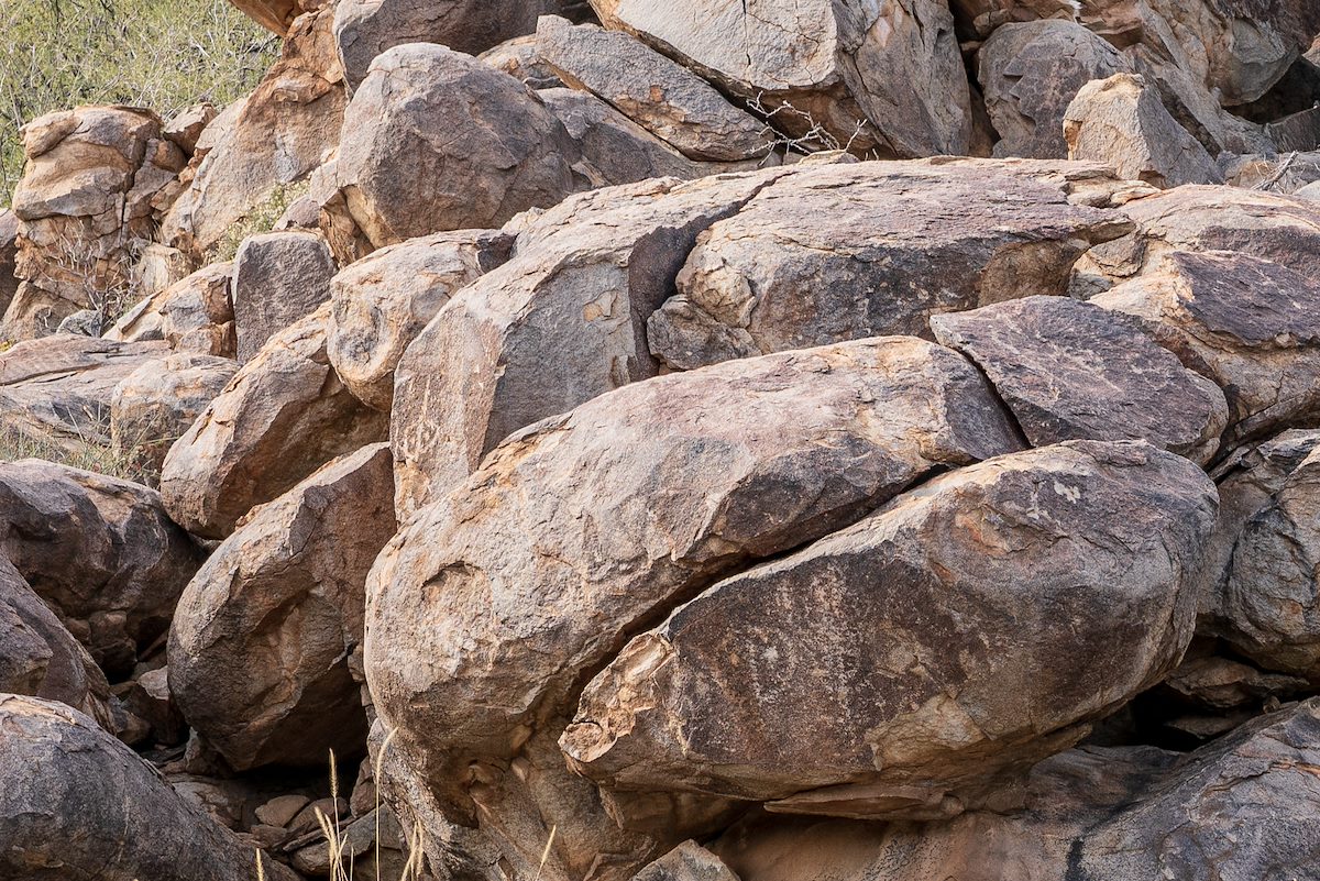 2019 February Tortolita Atlatl Ridge Petroglyphs 05