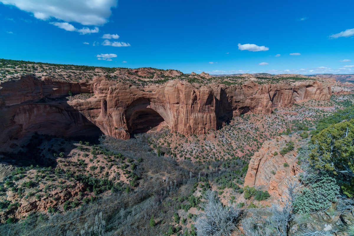 2019 March Betatakin alcove in a Tsegi Side Canyon