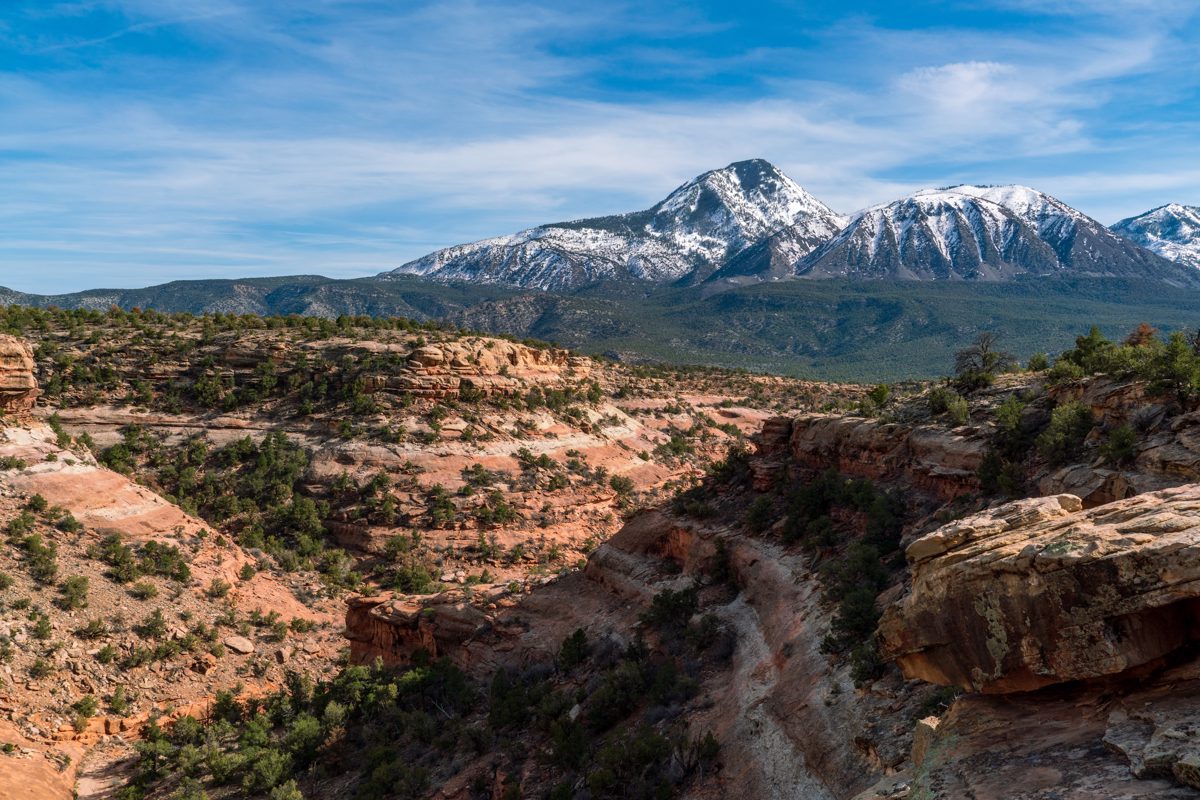 2019 March Looking over Sand Canyon