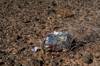 2019 October Balloon Trash on the Pinacate Lava Flow