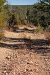 A rough dirt road cuts a man made straight line thru a green forest all the way to the top of a distant hill.