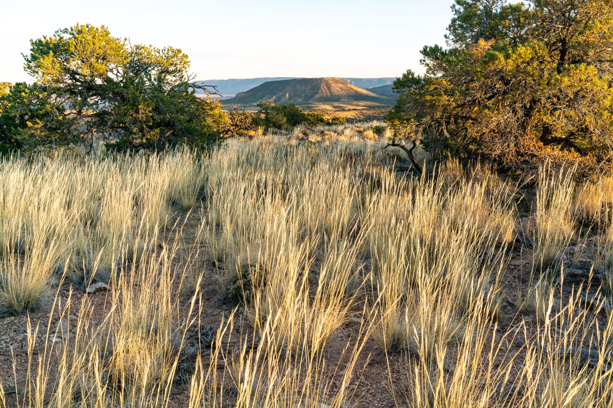 2019 October Cedar Mountain from Comanche Point