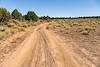 A reddish dirt road - FR2501 - curves into the distance amid scrub and trees.