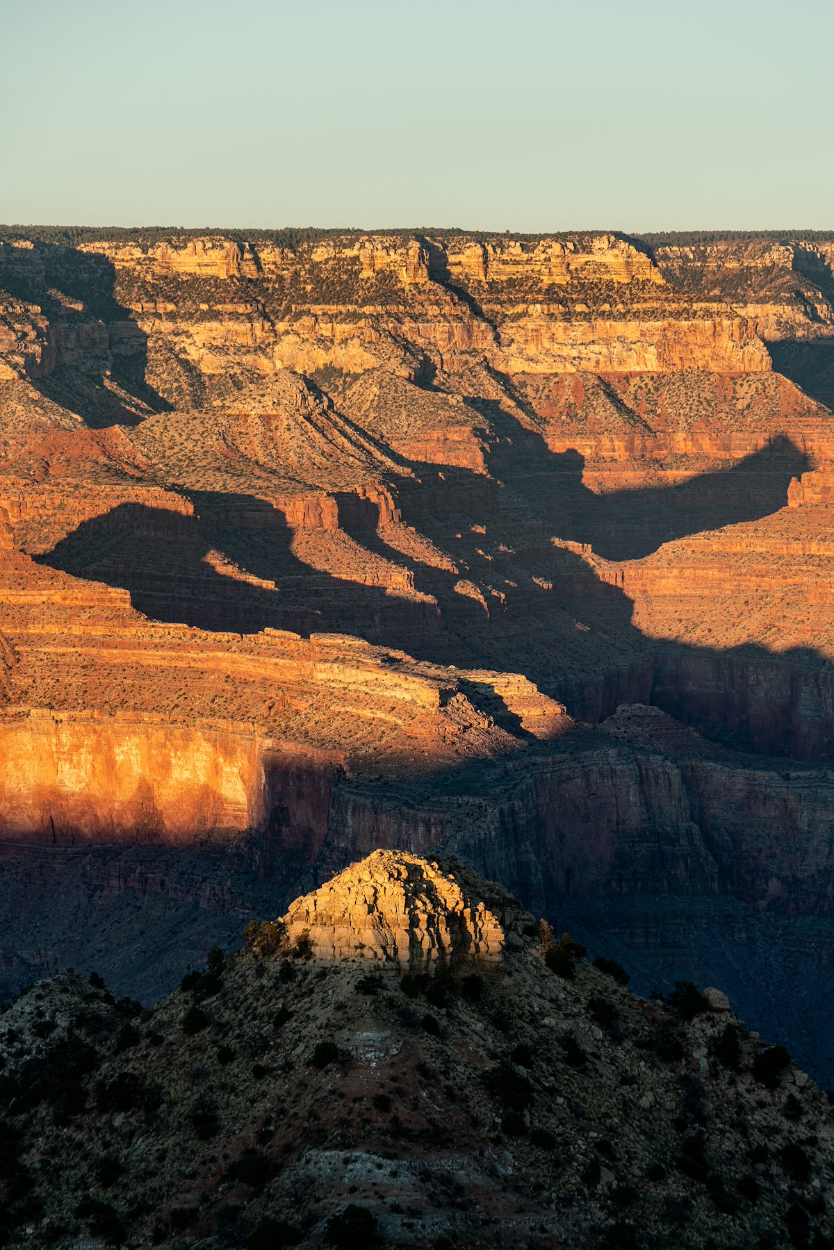 Sunset light on the tip of pyramid shaped Vesta Temple with shadows, ridges and the wooded top of the Grand Canyon in the distance.