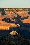 Sunset light on the tip of pyramid shaped Vesta Temple with shadows, ridges and the wooded top of the Grand Canyon in the distance.