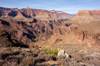 2019 October Looking down to Phantom Ranch from the Tonto Trail