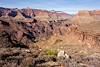 2019 October Looking down to Phantom Ranch from the Tonto Trail