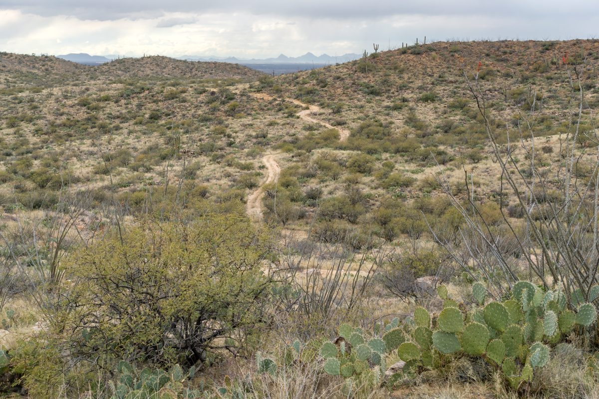 2020 February FR4402 With the Tucson Mountains on the Horizon