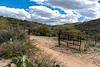 An open corral gate leads out onto Forest Service land on an old dirt road.