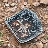 Intricate white patterns - curves, swirls, cirlces, lines - adorn the dark underside of a piece of a Desert Tortoise Shell.