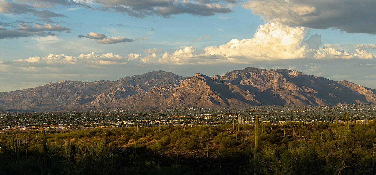 2020 July Santa Catalina Mountains from the Veterans Trail in Saguaro National Park West