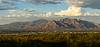 2020 July Santa Catalina Mountains from the Veterans Trail in Saguaro National Park West