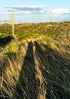 2020 June Long Shadows