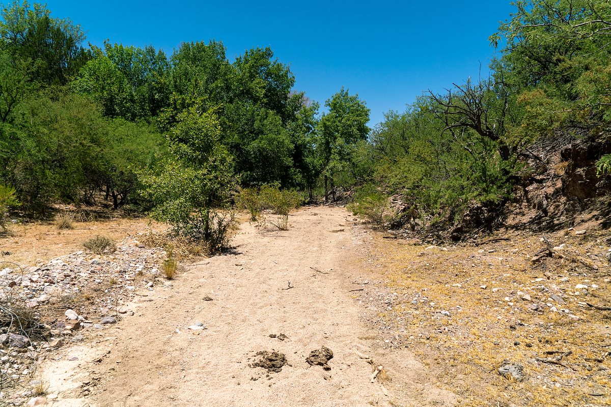 2020 June Wakefield Canyon looking towards Wakefield Spring