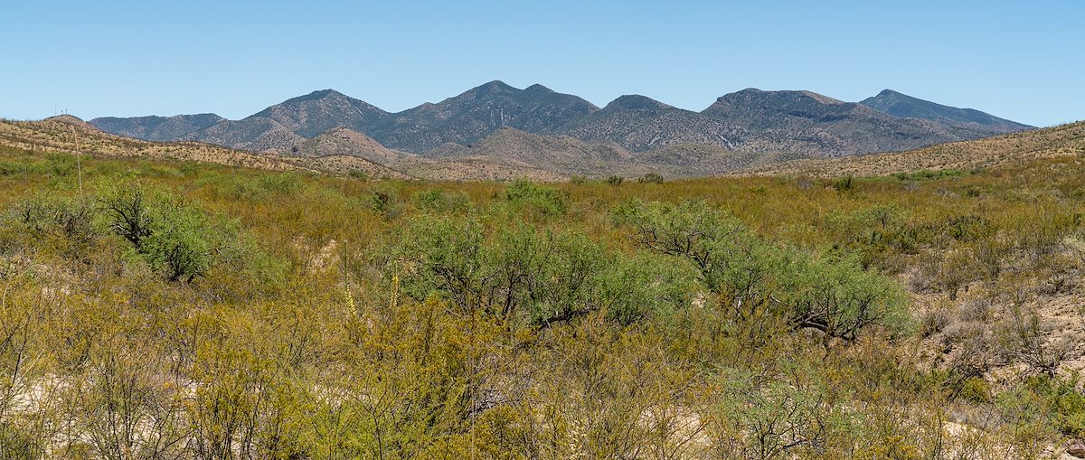 2020 June Whetstone Mountains from the edge of Wakefield Canyon in the Empirita Ranch