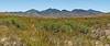 2020 June Whetstone Mountains from the edge of Wakefield Canyon in the Empirita Ranch