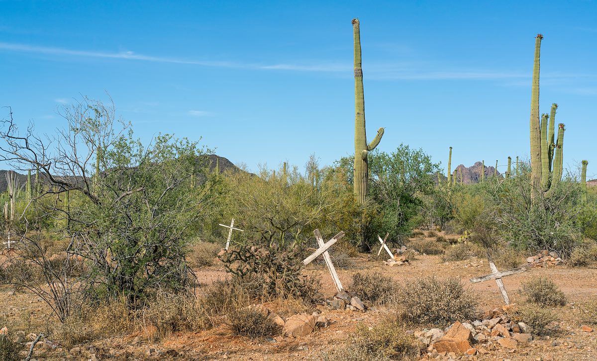 2020 June Wooden Crosses in the Silver Bell Cemetery