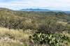 2020 March Between Posta Quemada and Shaw Canyons