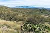 2020 March Between Posta Quemada and Shaw Canyons