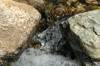 2020 March Flowing Water in Shaw Canyon