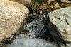 2020 March Flowing Water in Shaw Canyon