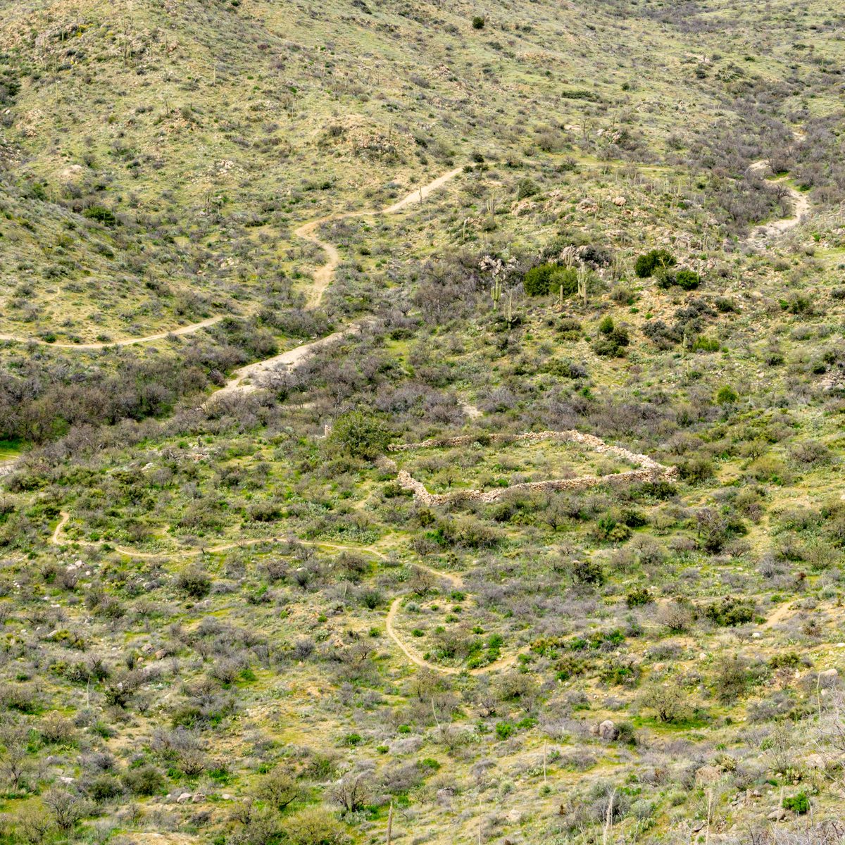 2020 March Goat Corral from Above