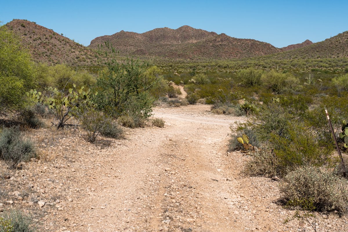 2020 May A View Across Agua Dulce Road