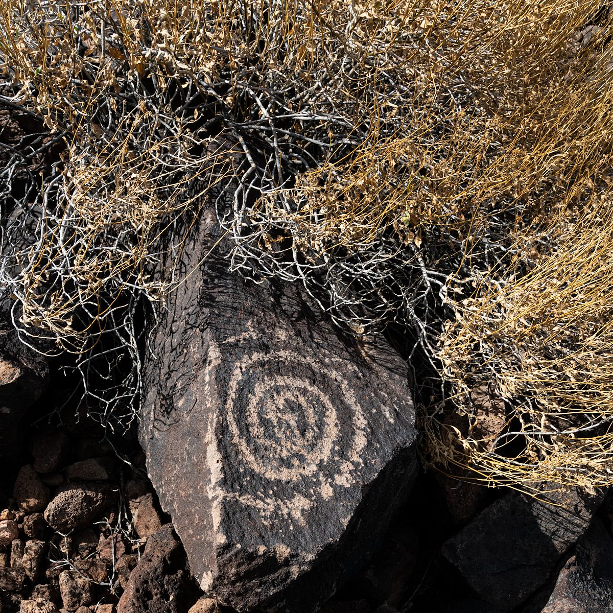 2020 May Ironwood Petroglyphs 03