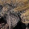 2020 May Ironwood Petroglyphs 03