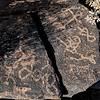 2020 May Ironwood Petroglyphs 11