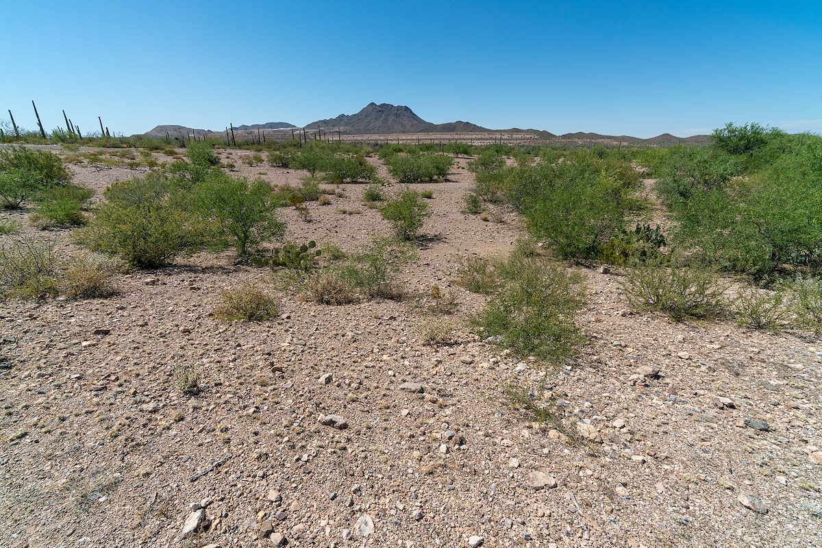 2020 May Looking over the Titan II Missile Interpretive Site to the Silver Bell Mountains