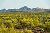 2020 May Waterman Mountains from the Samaniego Hills in Ironwood Forest National Monument