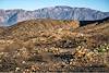 2020 November Burned area around Crow Wash in the Tortolita Mountains