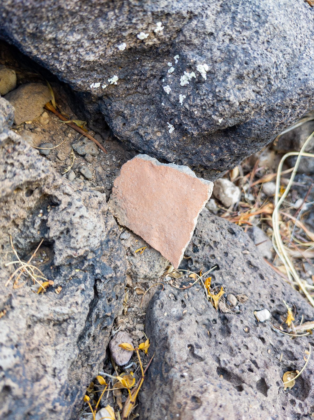 2020 November Sherd in the Samaniego Hills