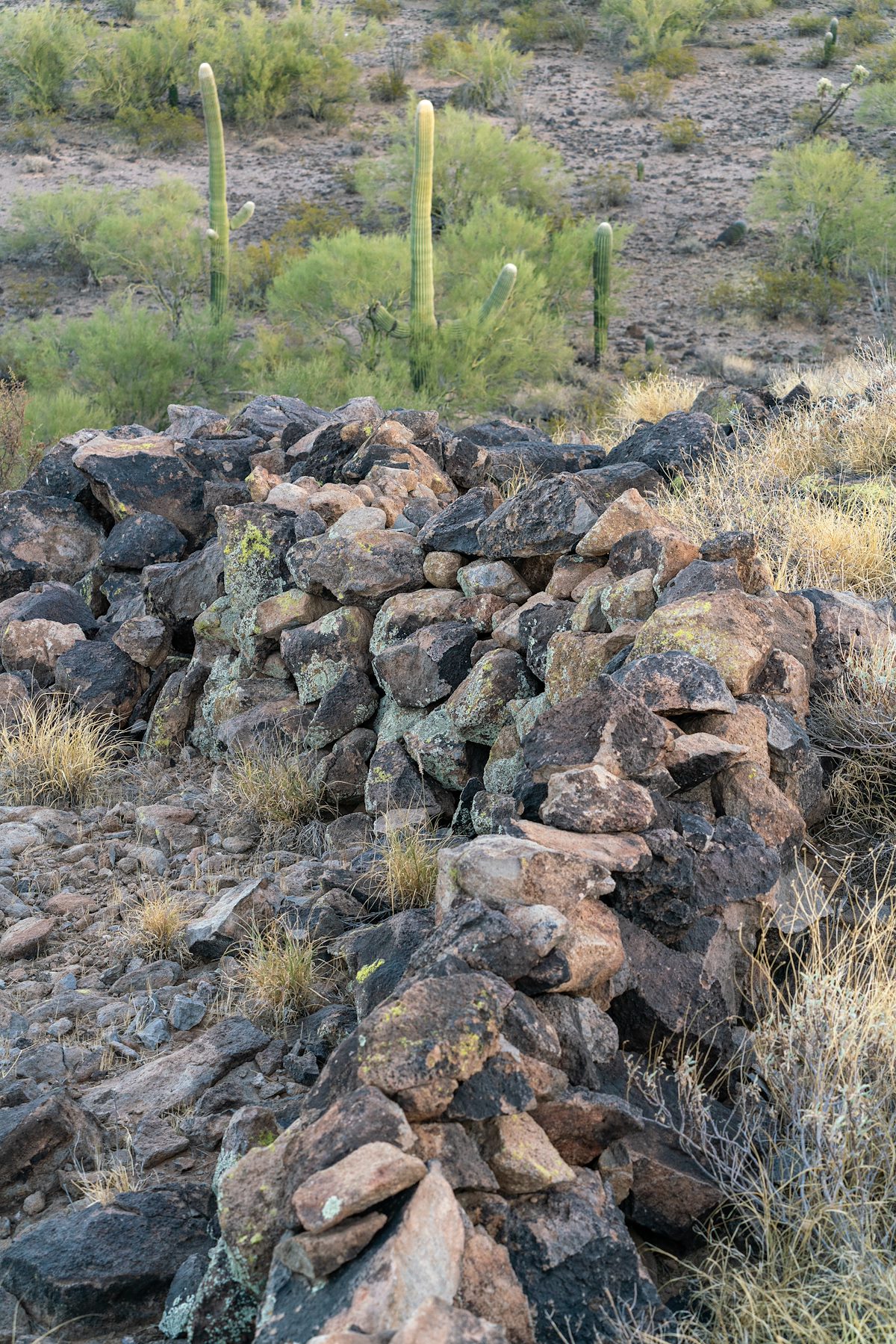 2020 November Wall in the Samaniego Hills