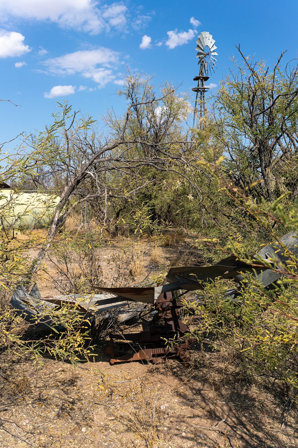 2020 November Windmill and Tank near the San Pedro River