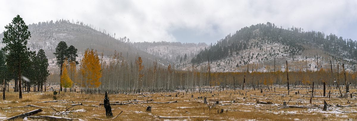 2020 October Aspen and Snow below the Hochderffer Hills