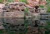 2020 October Reflection in Sycamore Canyon on the Parsons Trail