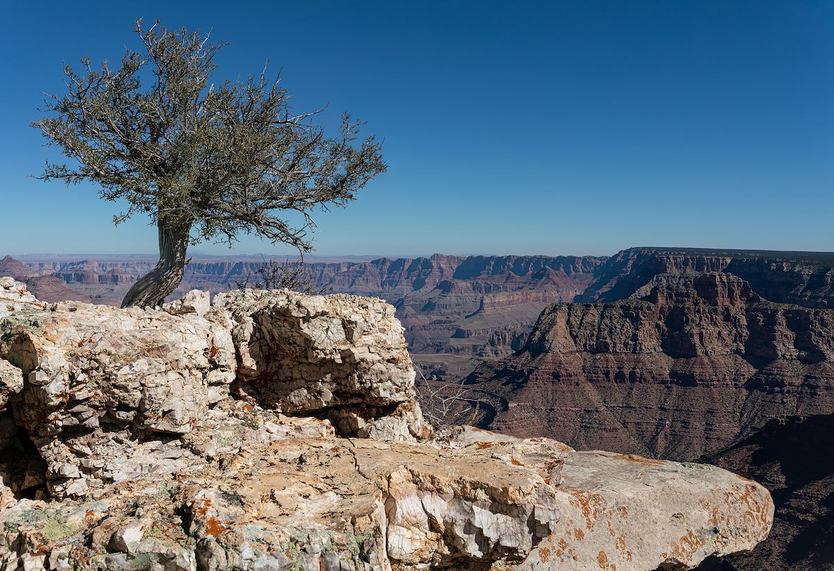 2020 October Rim East of Grand View Point