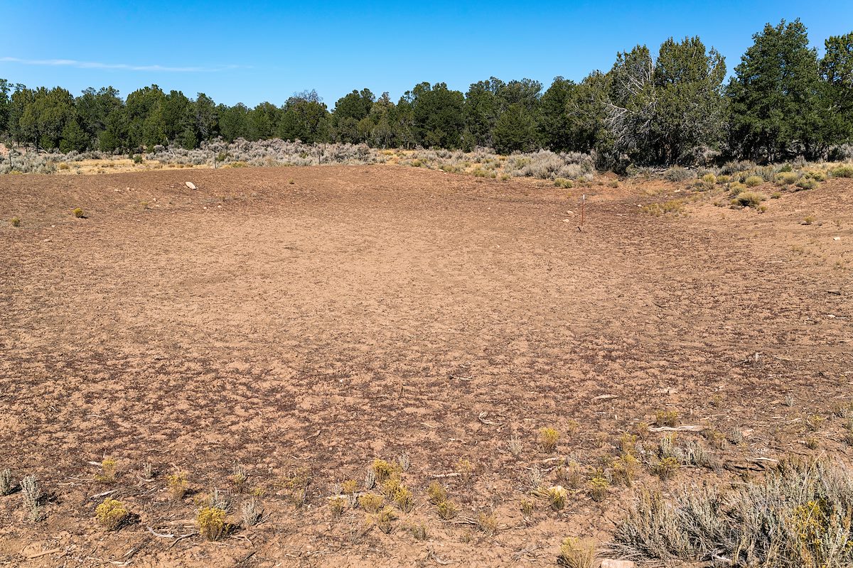 2020 October Sevenmile Tank in Kaibab National Forest