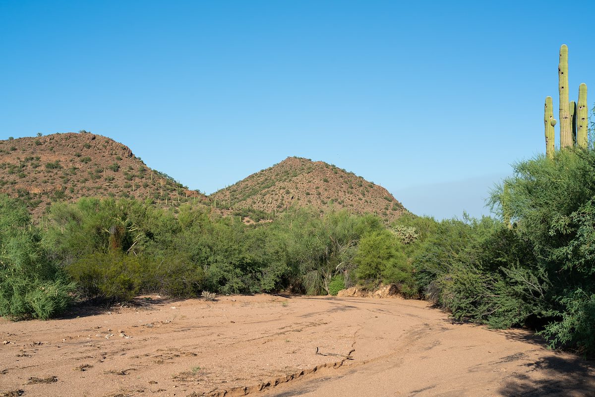 2020 September A wash in the Samaniego Hills